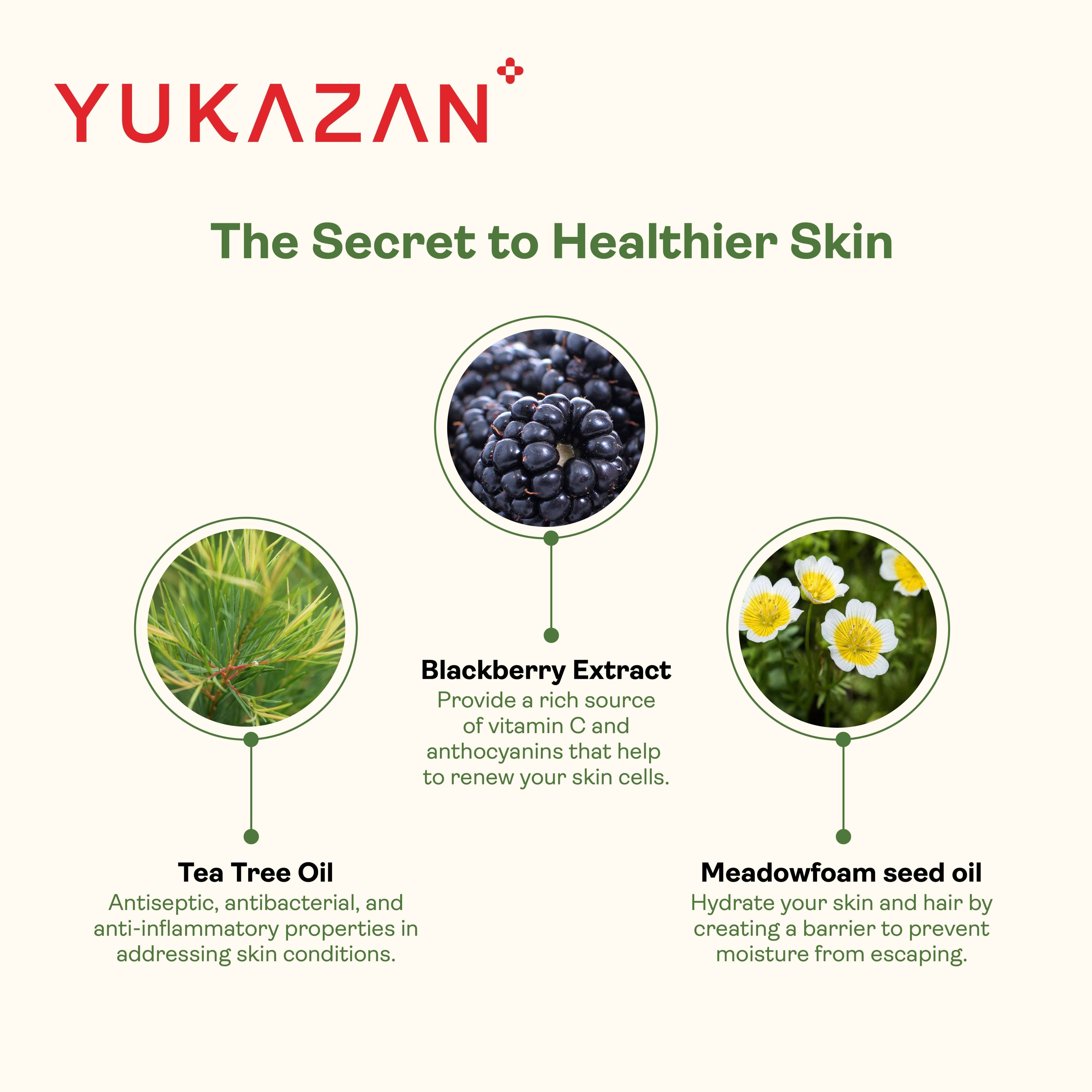 Yukazan Antibacterial Body Wash 230ml Shower Foam / Antibacterial and Alcohol Free / Body Shampoo - Yukazan Official Store